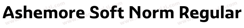 Ashemore Soft Norm Regular Norm Reg字体转换
